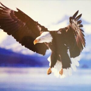 Sasfészek-Apartman-8 Sasfészek-Apartman-8